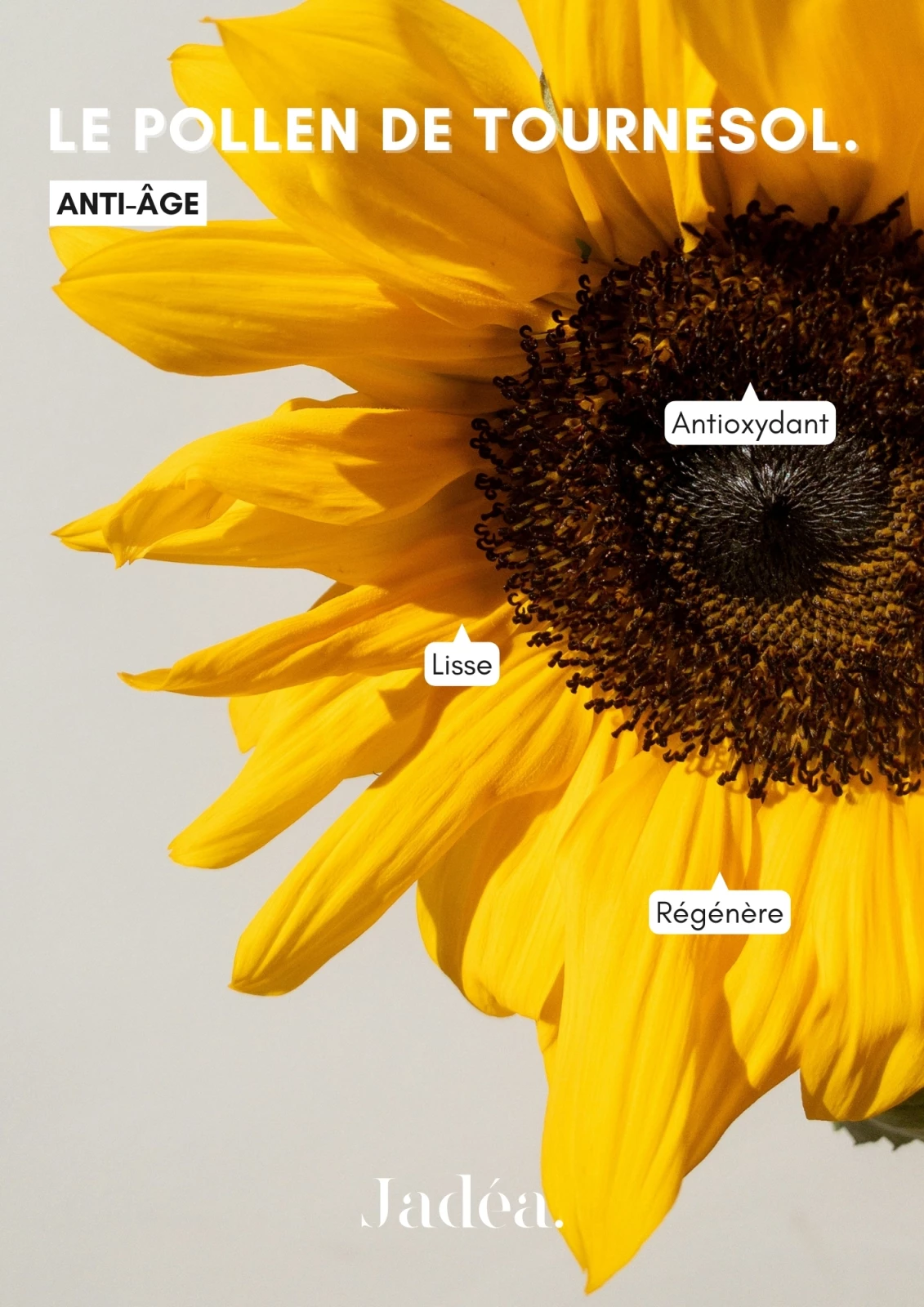 Comment réussir sa routine anti-âge ?